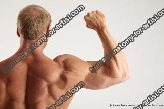 Bodybuilding reference poses of Alberto